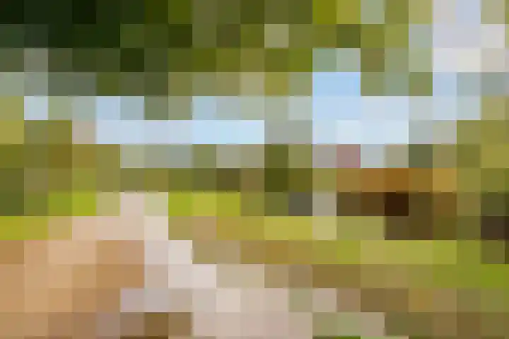 Park Arenberg 79 De Bilt thumbnail 56