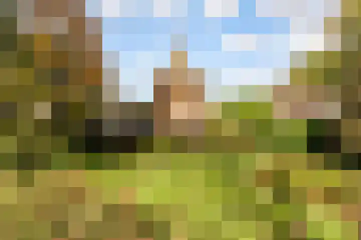 Park Arenberg 79 De Bilt thumbnail 57