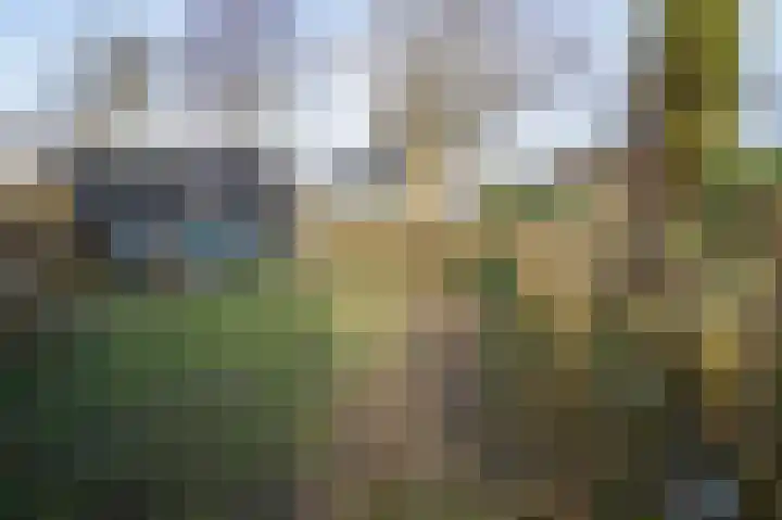 Park De Horn 124 Dirkshorn thumbnail 26