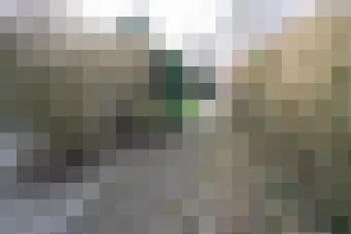 Park De Horn 124 Dirkshorn thumbnail 31