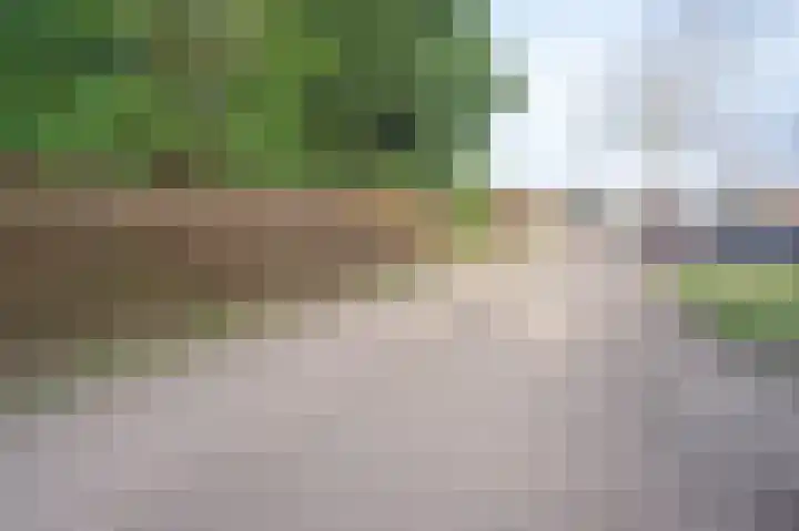 Park De Horn 124 Dirkshorn thumbnail 34