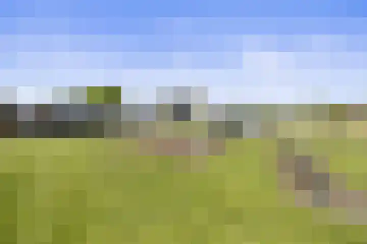 Park De Horn 766 Dirkshorn thumbnail 20