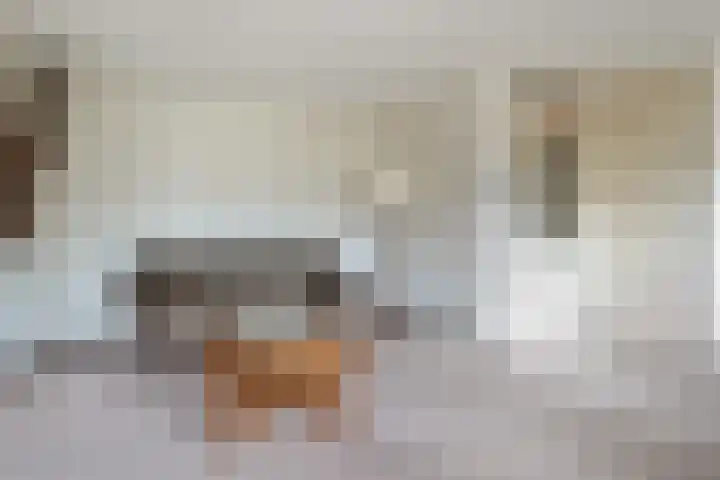 Park Den Eng 17 Lunteren thumbnail 13
