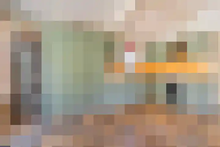 Park Den Eng 37 Lunteren thumbnail 12