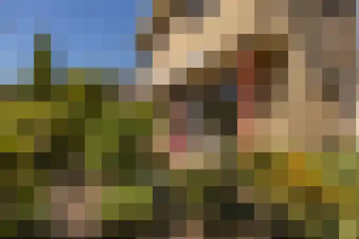 Park Den Eng 37 Lunteren thumbnail 31