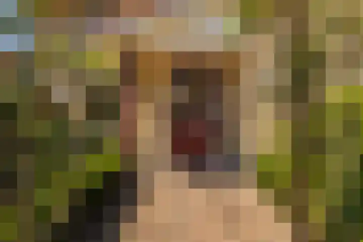 Park Den Eng 37 Lunteren thumbnail 33
