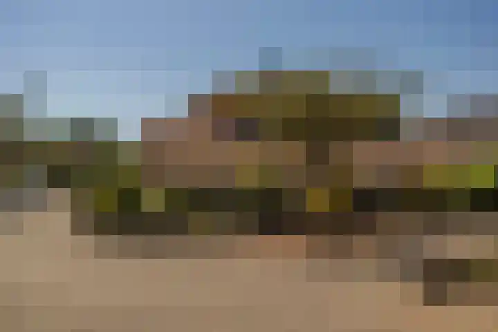 Park Den Eng 37 Lunteren thumbnail 37