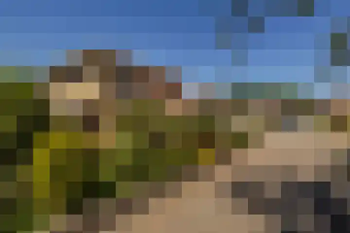 Park Den Eng 37 Lunteren thumbnail 38