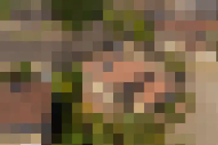 Park Den Eng 37 Lunteren thumbnail 4