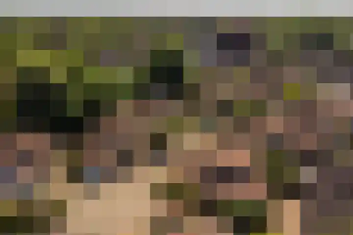 Park Den Eng 37 Lunteren thumbnail 41
