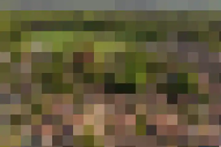 Park Den Eng 37 Lunteren thumbnail 43