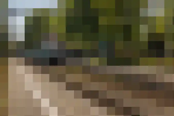 Park Den Eng 37 Lunteren thumbnail 44
