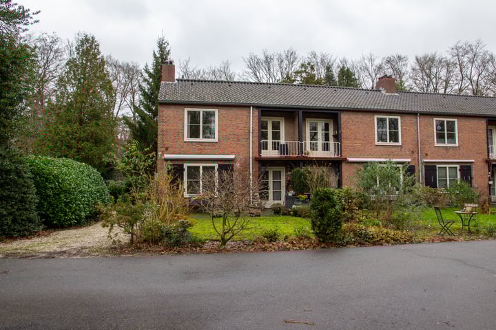 Park Rodichem 40 in Huis ter Heide foto