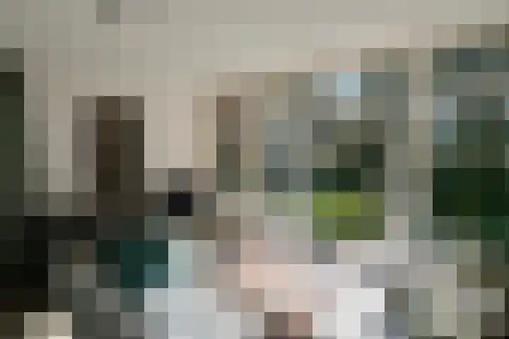 Park Wissel 5 Epe thumbnail 14
