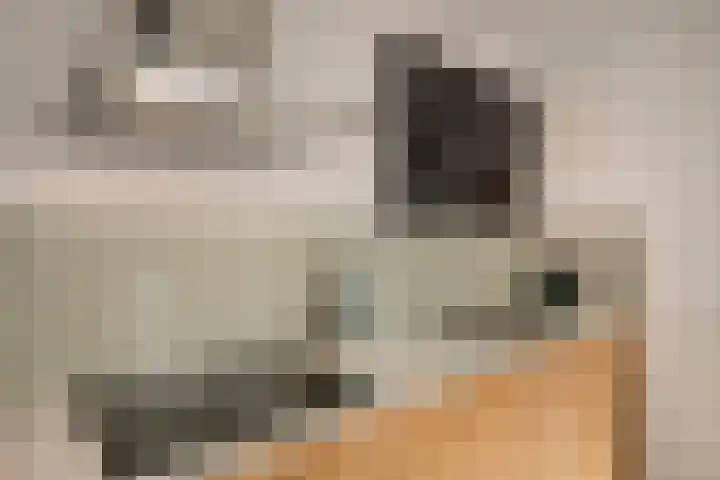 Park Wissel 5 Epe thumbnail 17