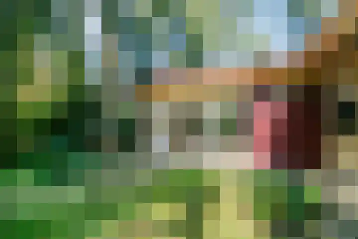 Park Wissel 5 Epe thumbnail 25