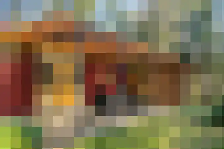 Park Wissel 5 Epe thumbnail 26