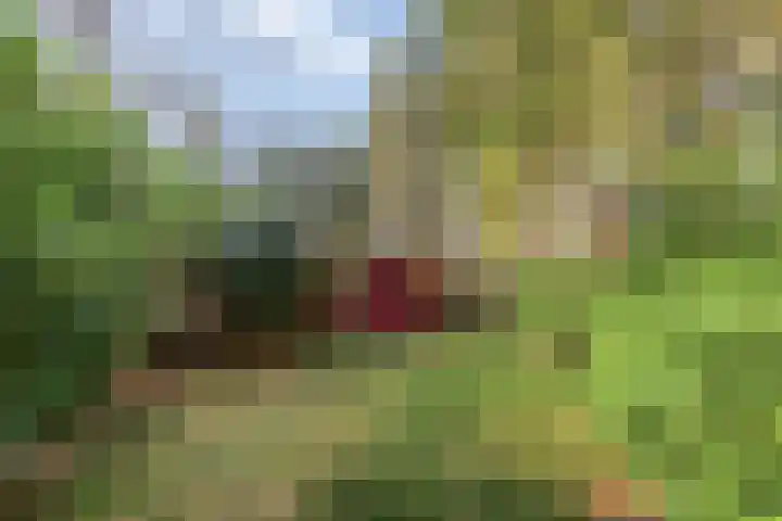 Park Wissel 5 Epe thumbnail 28