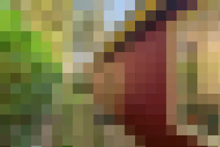 Park Wissel 5 Epe thumbnail 31