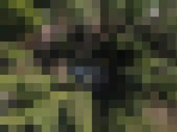 Park Wissel 5 Epe thumbnail 32