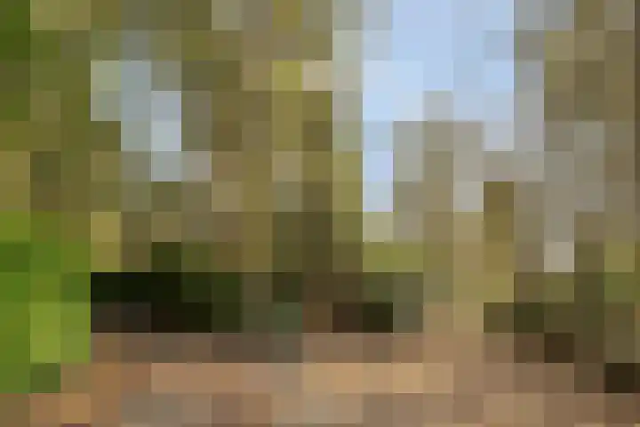 Park Wissel 5 Epe thumbnail 4