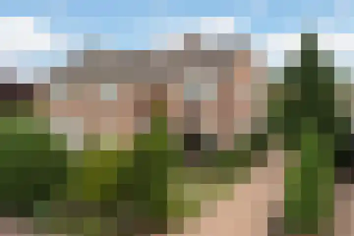 Team foto van Park16Hoven Makelaardij