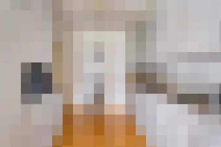 Parkhof 11 Deurne thumbnail 17