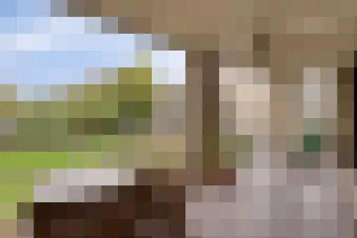 Parkhof 11 Deurne thumbnail 22