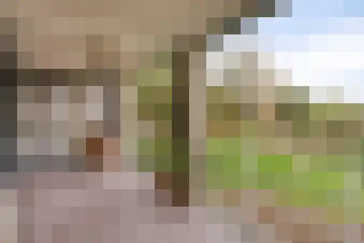 Parkhof 11 Deurne thumbnail 23