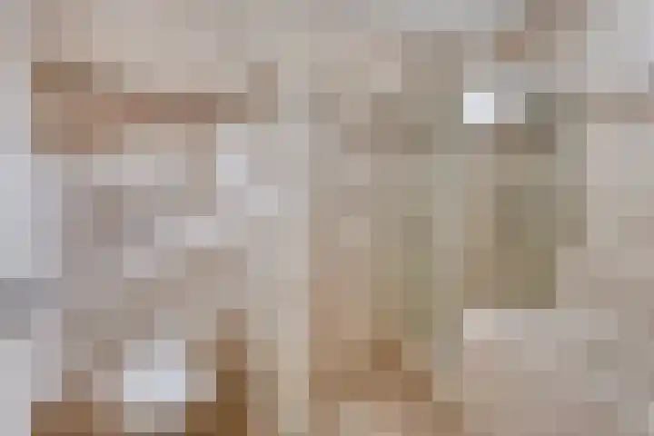 Parkhof 11 Deurne thumbnail 29