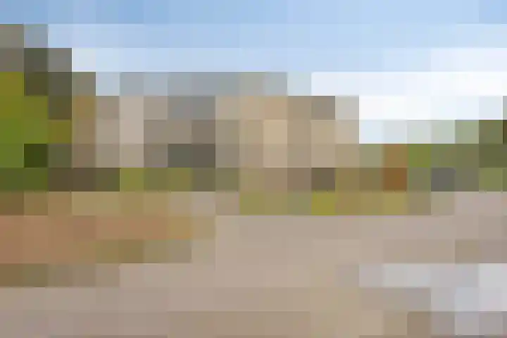 Parkhof 11 Deurne thumbnail 38
