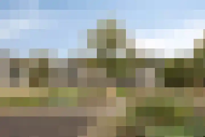 Parkhof 11 Deurne thumbnail 42