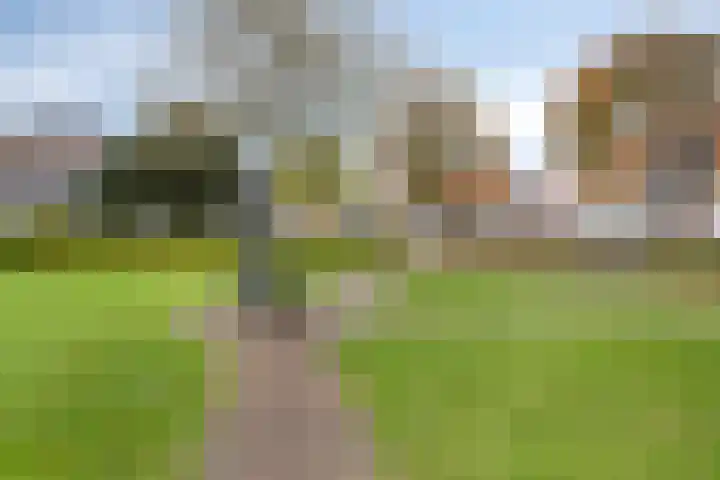 Parkhof 11 Deurne thumbnail 45