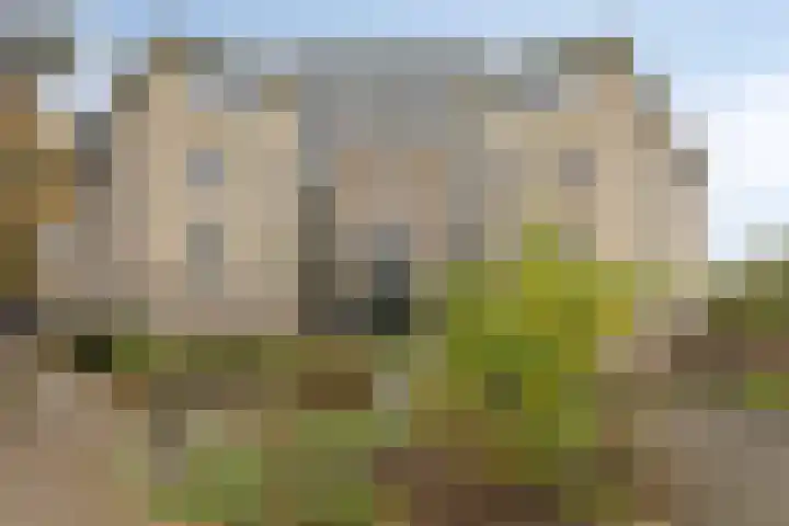 Parkhof 11 Deurne thumbnail 6