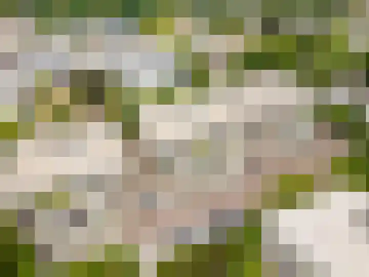 Parkhof 34 Deurne thumbnail 29
