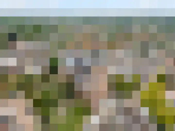 Parkhof 34 Deurne thumbnail 31