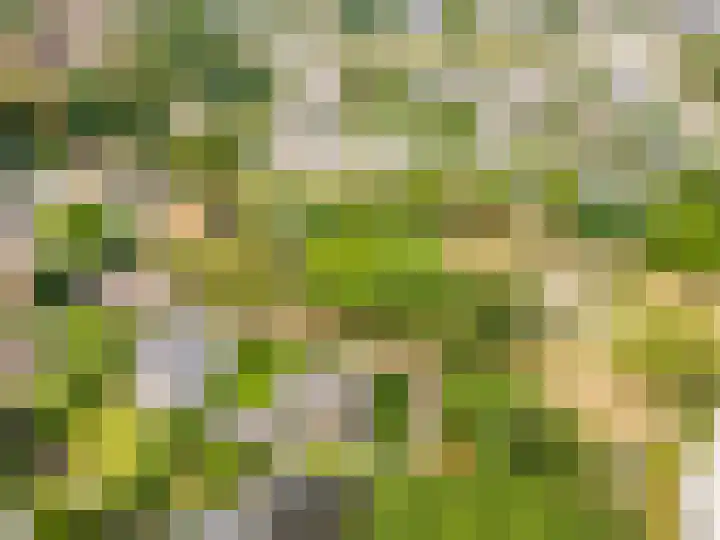 Parkhof 34 Deurne thumbnail 32