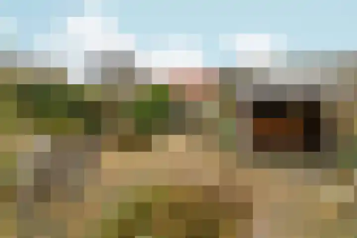 Parkhof 48 Ede thumbnail 31