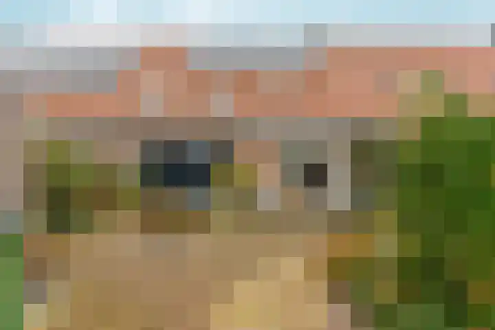 Parkhof 48 Ede thumbnail 33