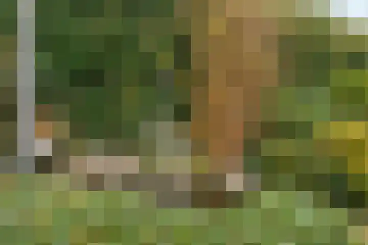 Parkhof 48 Ede thumbnail 36