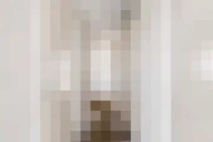 Parkhof 6 Deurne thumbnail 27