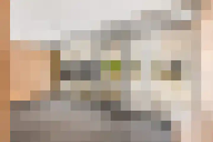 Parkhof 6 Deurne thumbnail 29