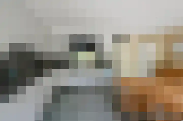 Parkhof 83 Amsterdam thumbnail 10
