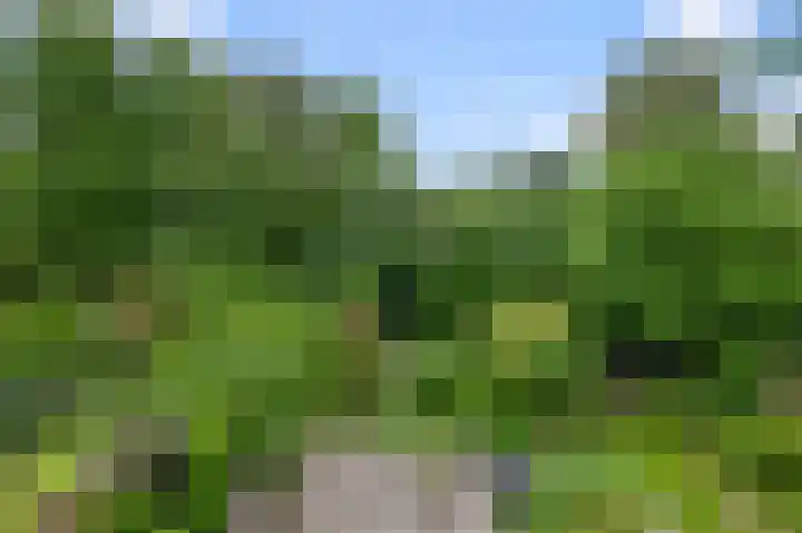 Parkhof 83 Amsterdam thumbnail 17