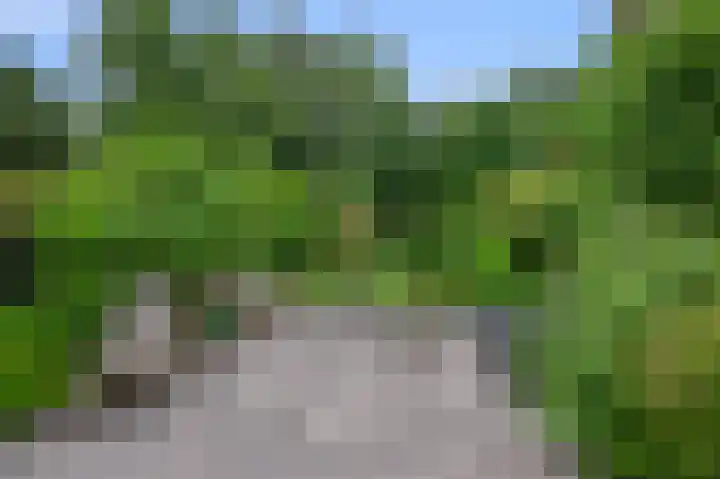 Parkhof 83 Amsterdam thumbnail 35