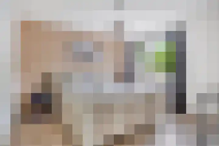 Parkietendonk 22 Veghel thumbnail 18