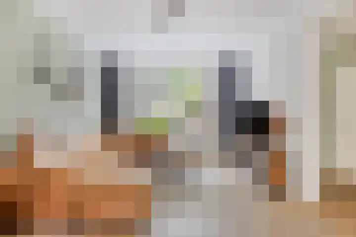 Parkietendonk 22 Veghel thumbnail 7