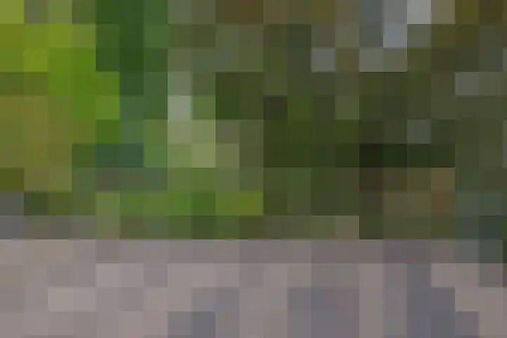 Parkkamp 37 Havelte thumbnail 41