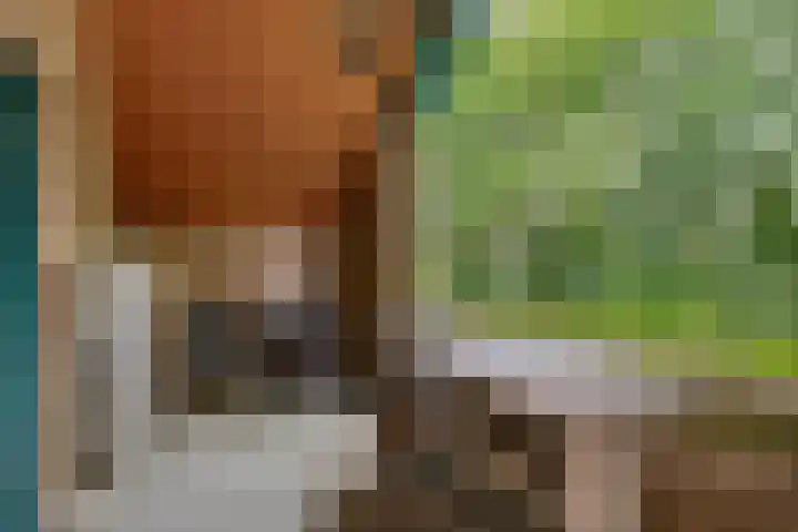 Parkkamp 37 Havelte thumbnail 56