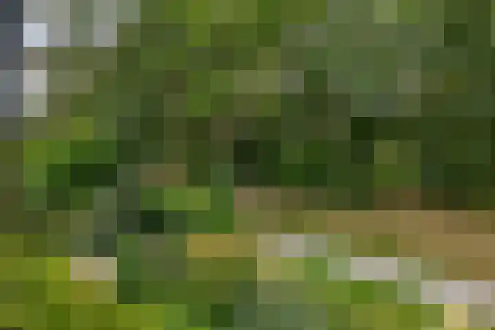 Parkkamp 37 Havelte thumbnail 57
